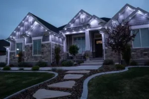 Jellyfish lighting home image