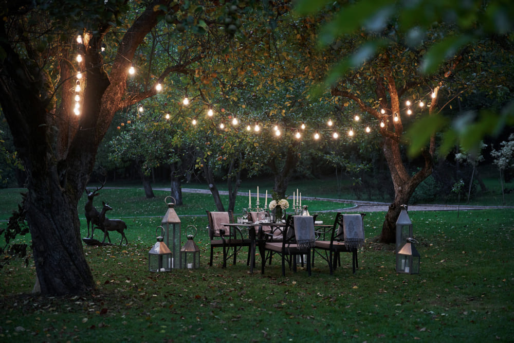 low voltage landscape lighting in wheeling il
