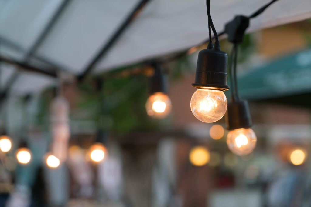 low voltage landscape lighting in riverwoods il