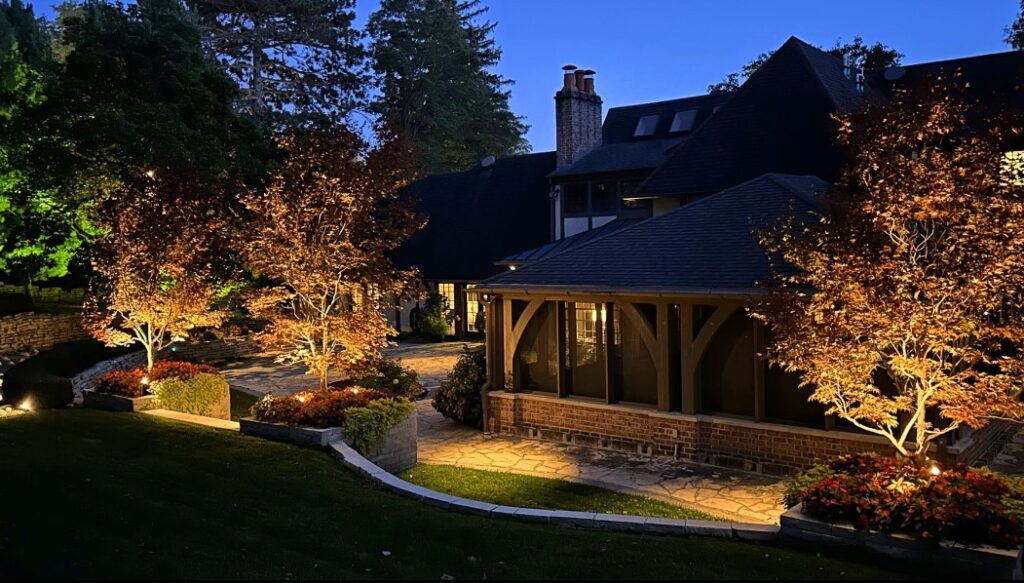Lights in Backyard